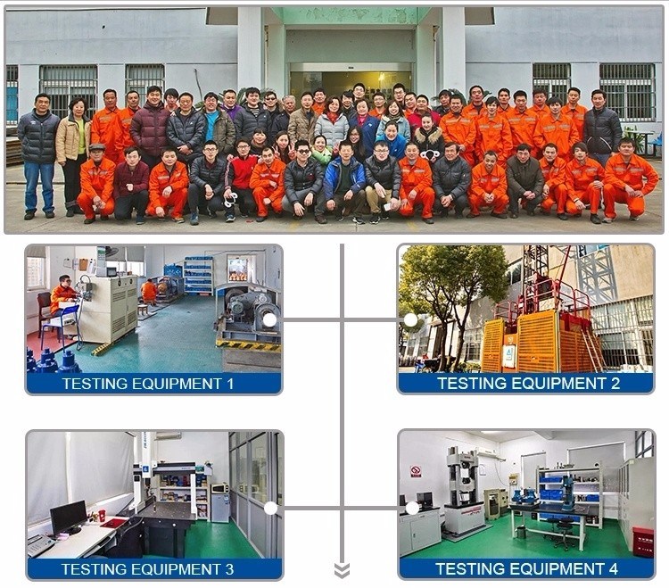 Factory Engineering Passenger Hoist Anti-Fall Safety Devices