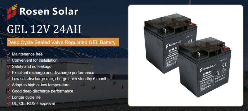 12V 24ah UPS Battery VRLA Deep Cycle Gel Batteries for Security Appliances
