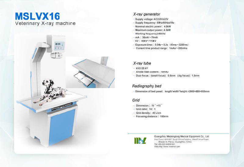 2019 Veterinary Instrument 4kw 16kw Veterinary X-ray Equipment Mslvx16