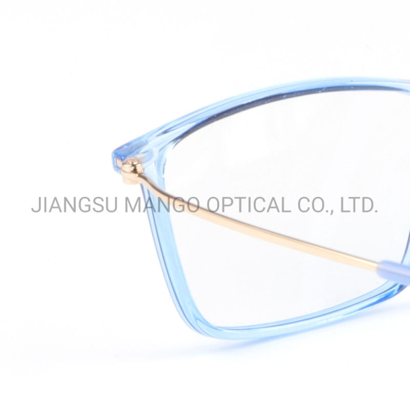 Elegant Eyewear Frame Transparent Blue Optical Glasses Frame