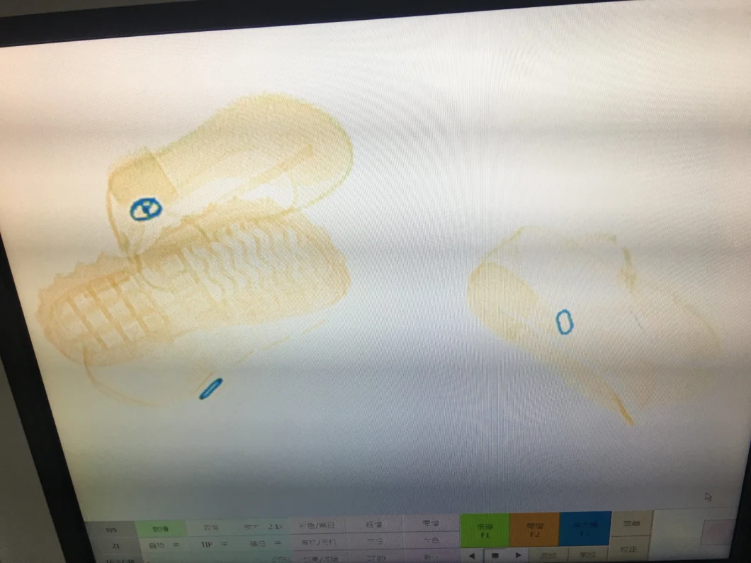 Middle Size 6040 X Ray Airport Scanner Baggage and Parcel Inspection