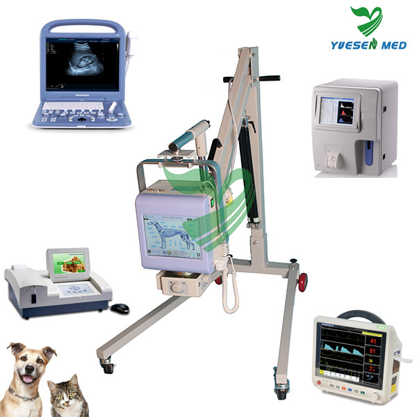 Medical Veterinary X-ray Machine 200mA Vet X-ray Unit