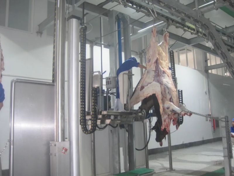 Synchronous Inspection System-- Slaughtering Equipment