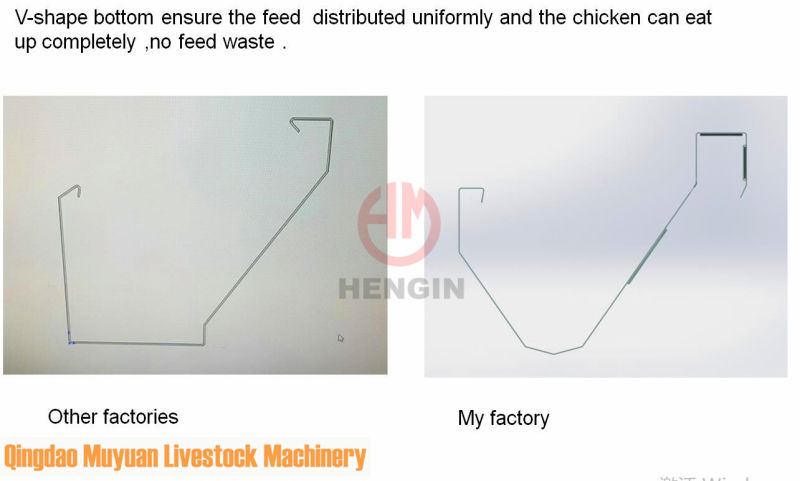 Complete Controlled Layer Equipment / Poultry Farm Equipment for Chicken House