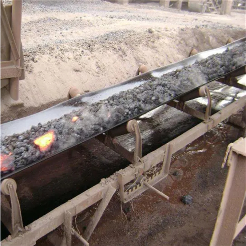 Supply High Quality Heat Resistant Conveyor Belt