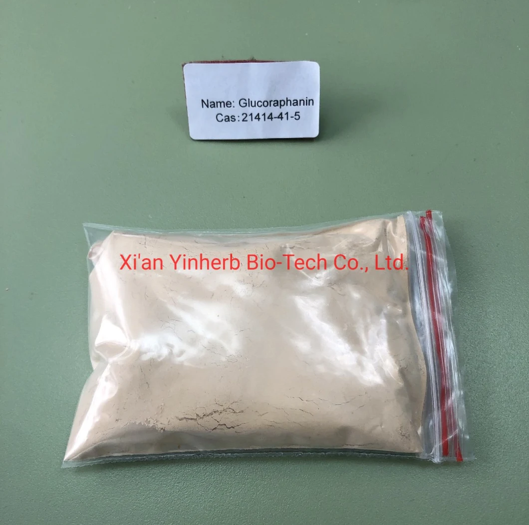 Health Supplements Natural Broccoli Extract 20% Pure Glucoraphanin Powder for Antioxidant