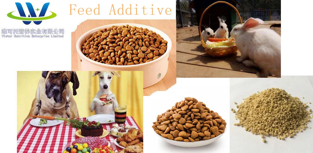 Amino Acids L-Lysine HCl 98.5% Feed Additives Animal Nutrition