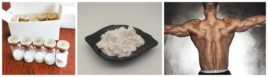 Bodybuilding Raw Steroids Powder TBB Tre Base Pharmaceutical Raw Materials