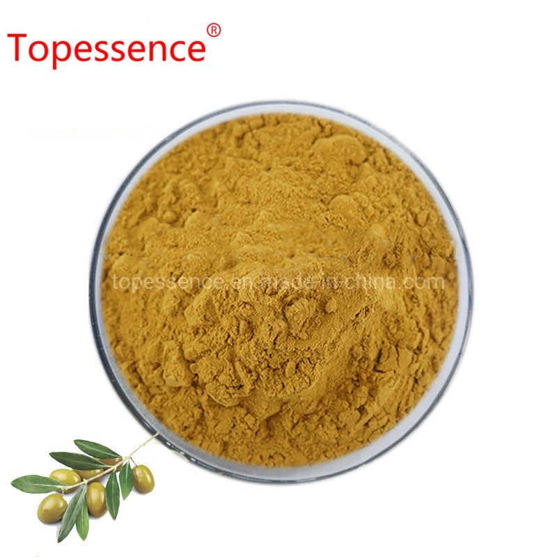 100% Pure Natural Olive Leaf Powder Extract Hydroxytyrosol