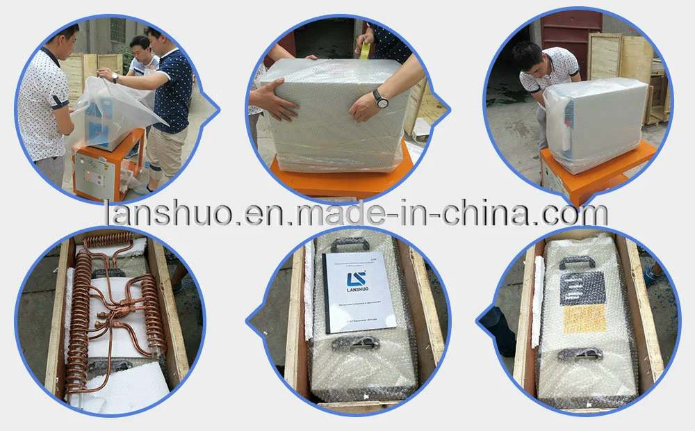 Ce Approved Portable Induction Heating Hardening Machine (LSW-16KW)