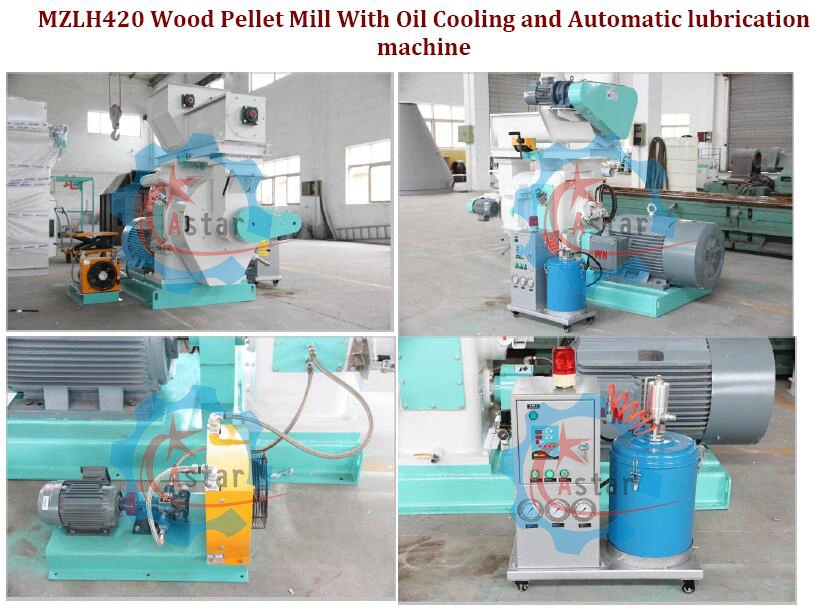 Output 1t/H Ce Approved Wood Pellet Mill With Automatic Lubrication Machine