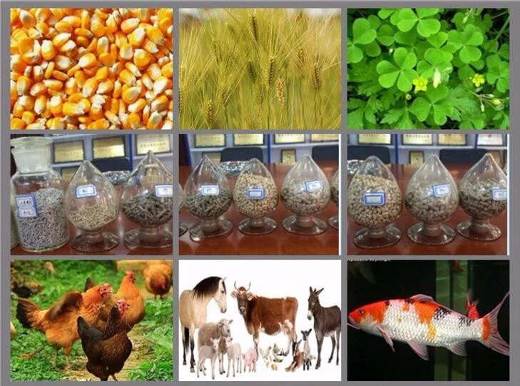Pellet Feed Processing Animal Feed Equipment Flat Die Pellet Machine/Mill for Animal Feed (PM)