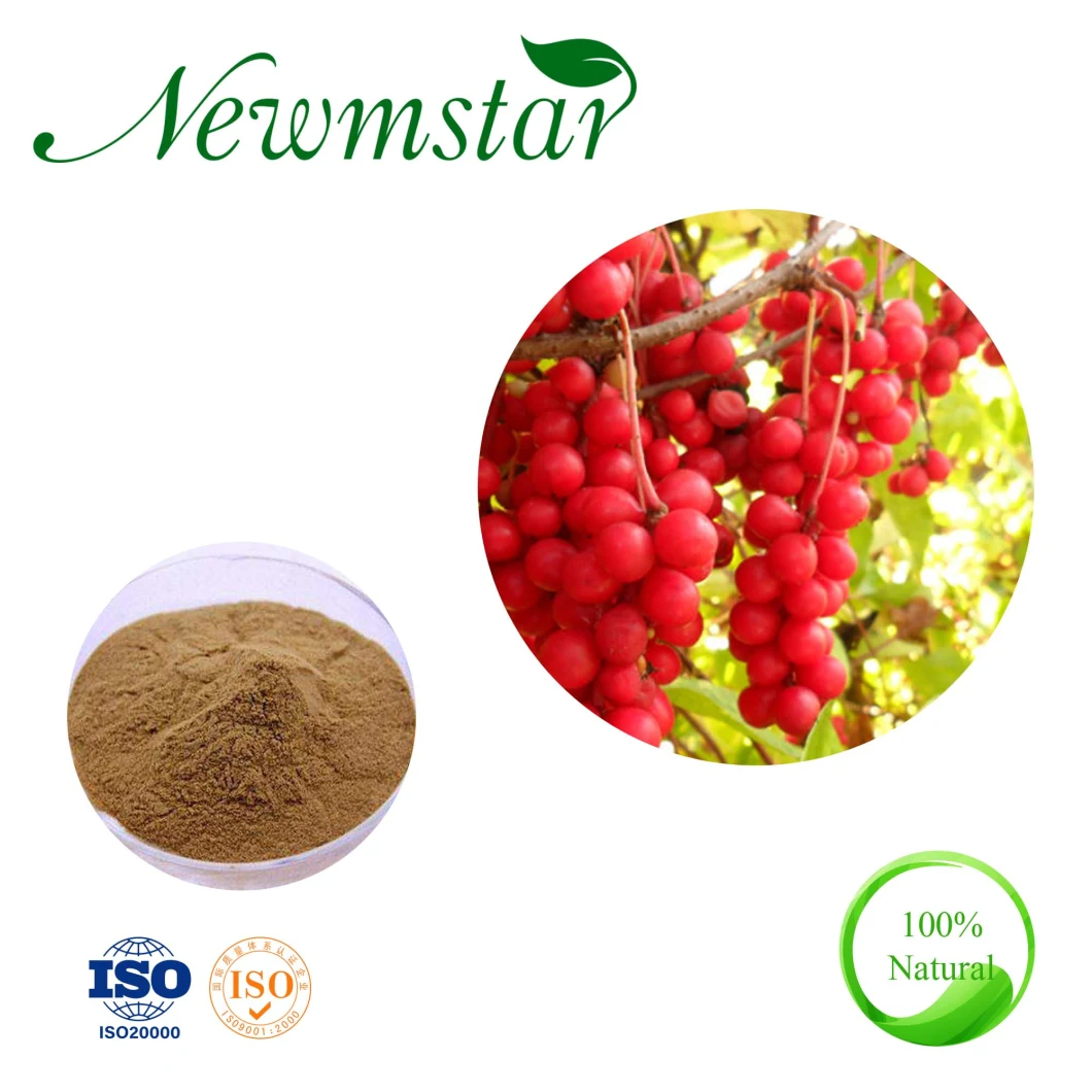 Schisandra Chinensis Extract Liver Protection Wuweizi Extract Supplement