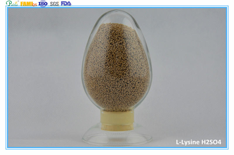 L-Lysine 98.5%/70% Feed Grade/Amino Acid/Feed Supplement