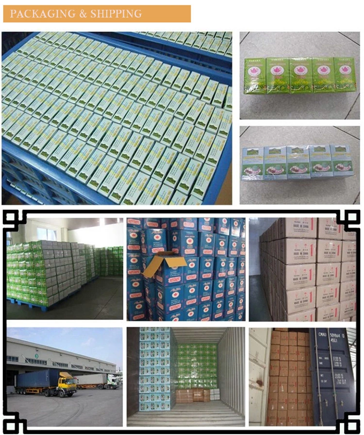 Chinese Best Green Tea Gunpowder 3505, Green Tea Factory Price Per Kg, Green Tea
