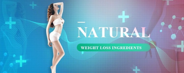 Weight Loss Ingredients Acetyl L-Carnitine, 99% Acetyl L-Carnitine
