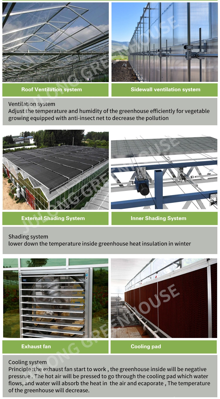 High Quality Heating Systems Agriculture Multi-Span Film Greenhouse