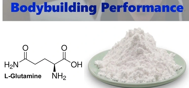 Pure L-Glutamine Powder for Muscle Growth