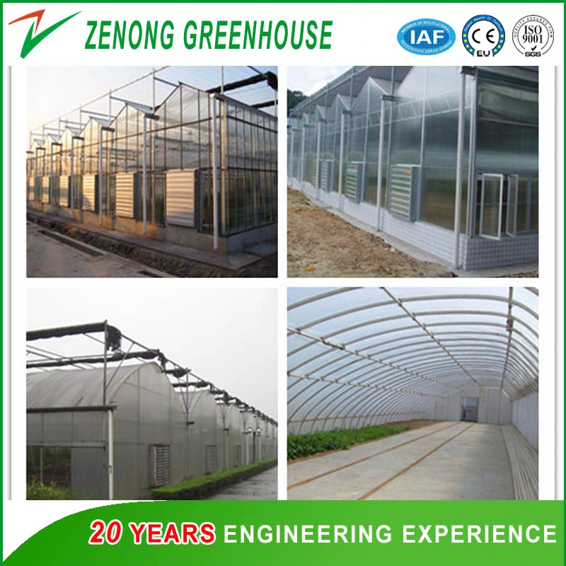 PC Board Covering Large Greenhouse with Misting System/Shading System/Heating System/Cooling System