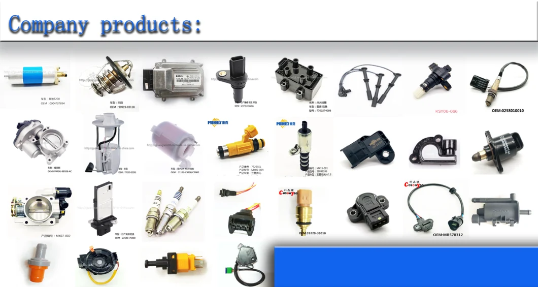 Electric Fuel Pump, Product Type: Ksy-Rby-010 Electric Fuel Pump