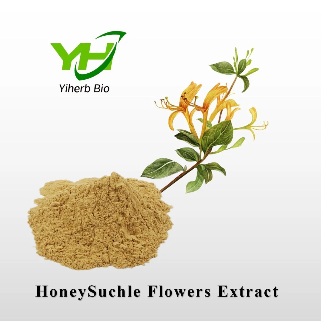 Natural Herb Chlorogenic Acid Honeysuckle Flowers Extract