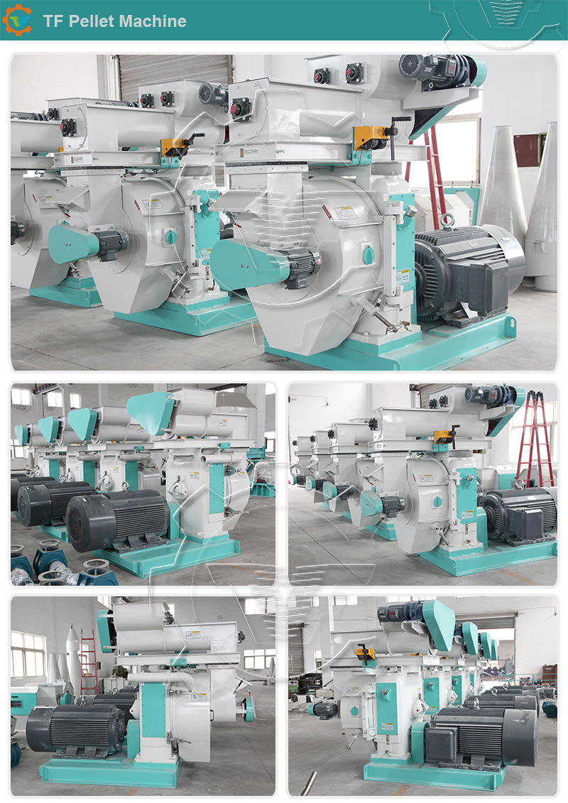 Automatic Lubrication Ring Die Sawdust Biomass Pellet Machine