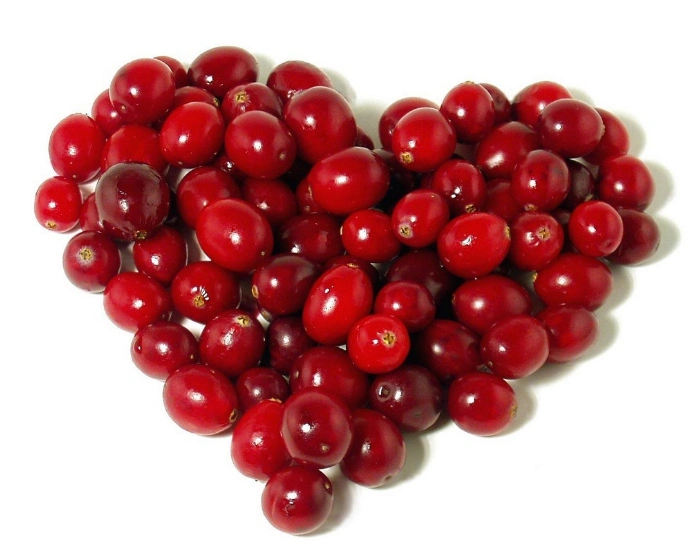Nutritional Supplements Cranberry Extract Tablet