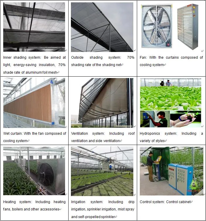China Venlo Garden Grow Tent/Glass Greenhouse with Hydroponic Growing System