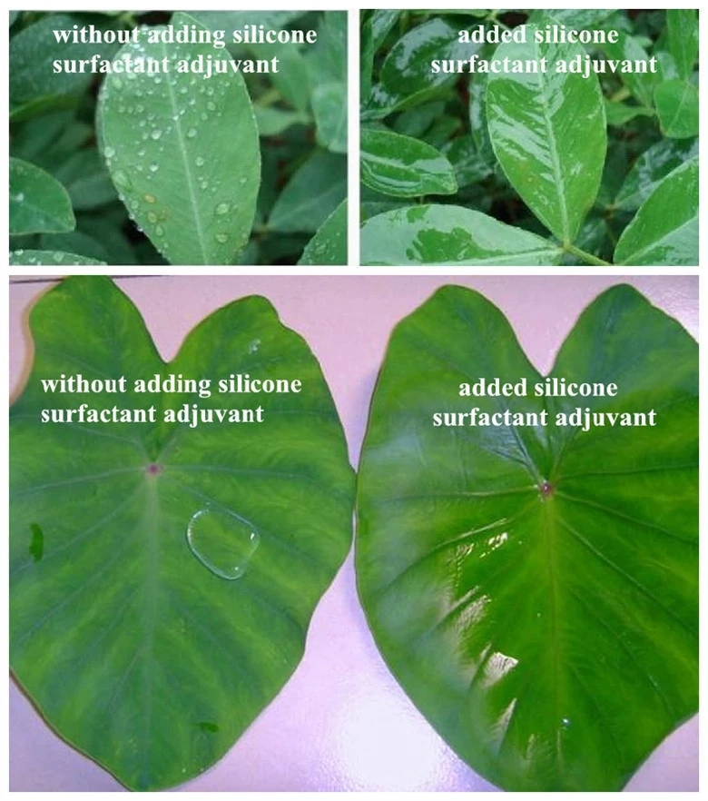 Powder Silicone Agriculture  Adjuvant Chemical   Herbicidal Insecticidal Fungicide Surface Surfactant 