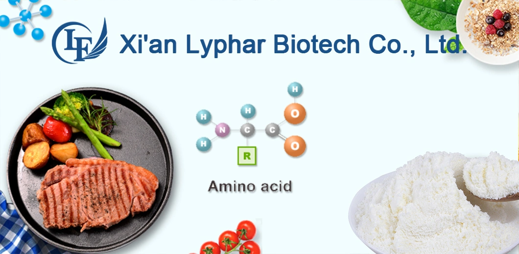 Lyphar Hot Sale Amino Acid Supplement N Acetyl Cysteine