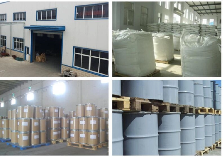 Pharmaceutical Raw Materials Esomeprazole Sodium CAS161796-78-7 for Oesophagitis and Gastric Duodenal Ulcer Drugs