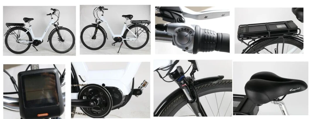 New Central Motor Electric Bike for Elgant Lady, Electric Charging Bikes