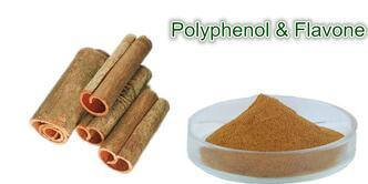 Cinnamon Polyphenol: 10%, 20%, 30%, 40% Cortex Cinnamomi Extract