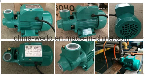 Qb60 High Quality Clean Electric Water Pump Peripheral Pump