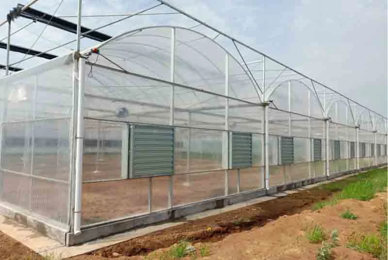 China Cheapest Growing Tent Green House for Dutch Bucket