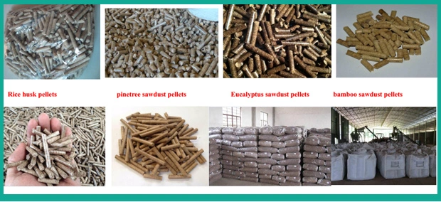 Automatic Lubrication 6-12mm Size Wood Pellet Machine Supplier From China