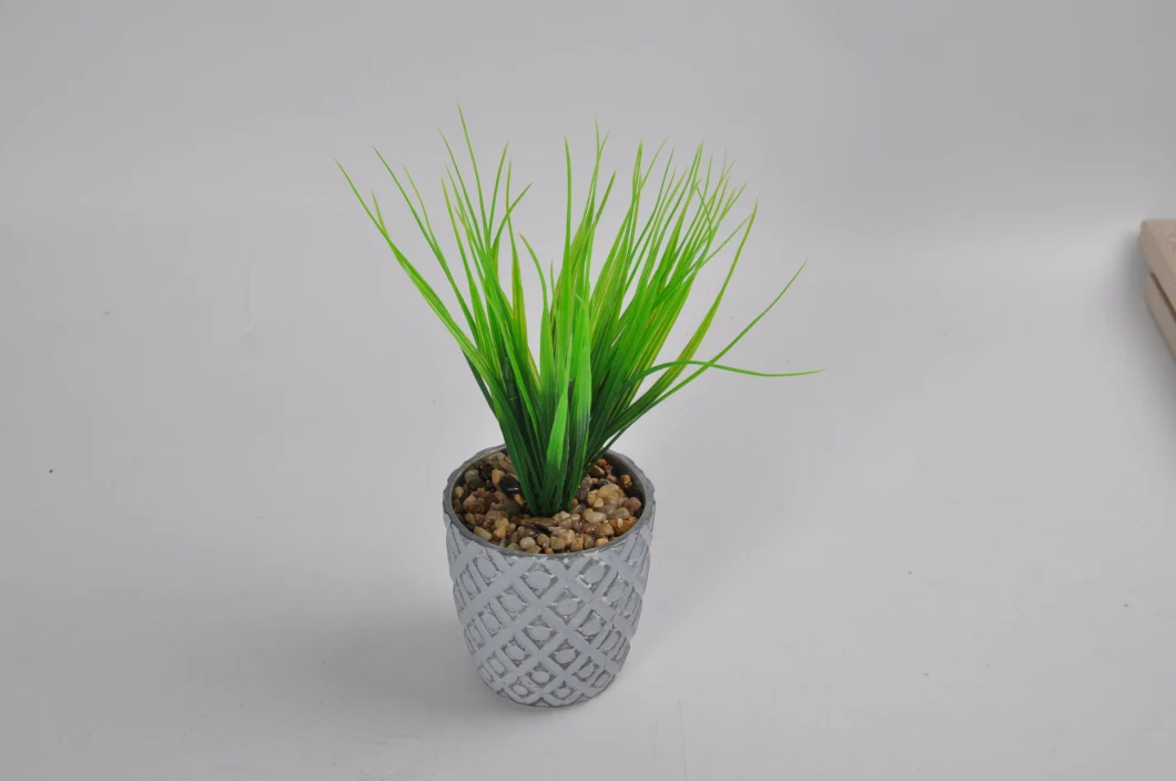 Different Style of Succulent Plants Artificial Plants Artificial Flowers in Glass Pot