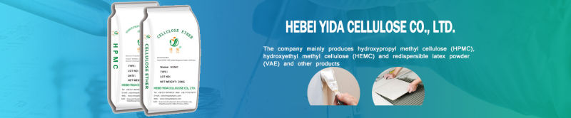 Building Material Additive Chemicals Manufacturer of HPMC Hemc HEC Vae Rdp