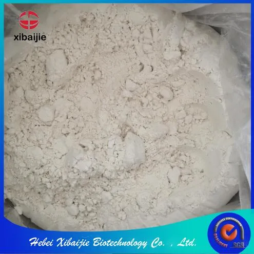 Pharmaceutical Raw Materials Esomeprazole Sodium CAS161796-78-7 for Oesophagitis and Gastric Duodenal Ulcer Drugs