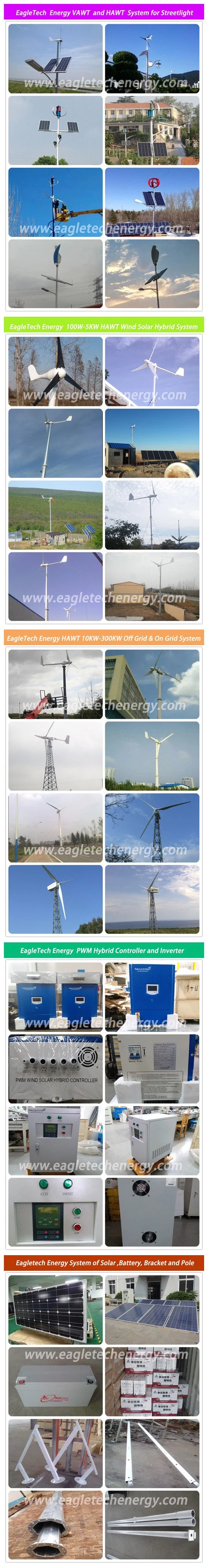 Hybrid Solar Wind Power Generator (1kw+300W) Wind Turibine System Wind Power Solar Power Products
