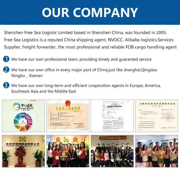 Best China Freight Forwarder Top China Agent Sea Shipping to Germany UK