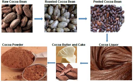 Cocoa Butter Press Production Line Cocoa Butter Processing Machine