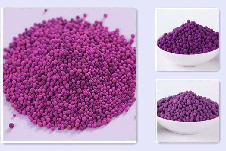 Food Grade Ethylene Removal Potassium Permanganate Ethylene Absorber