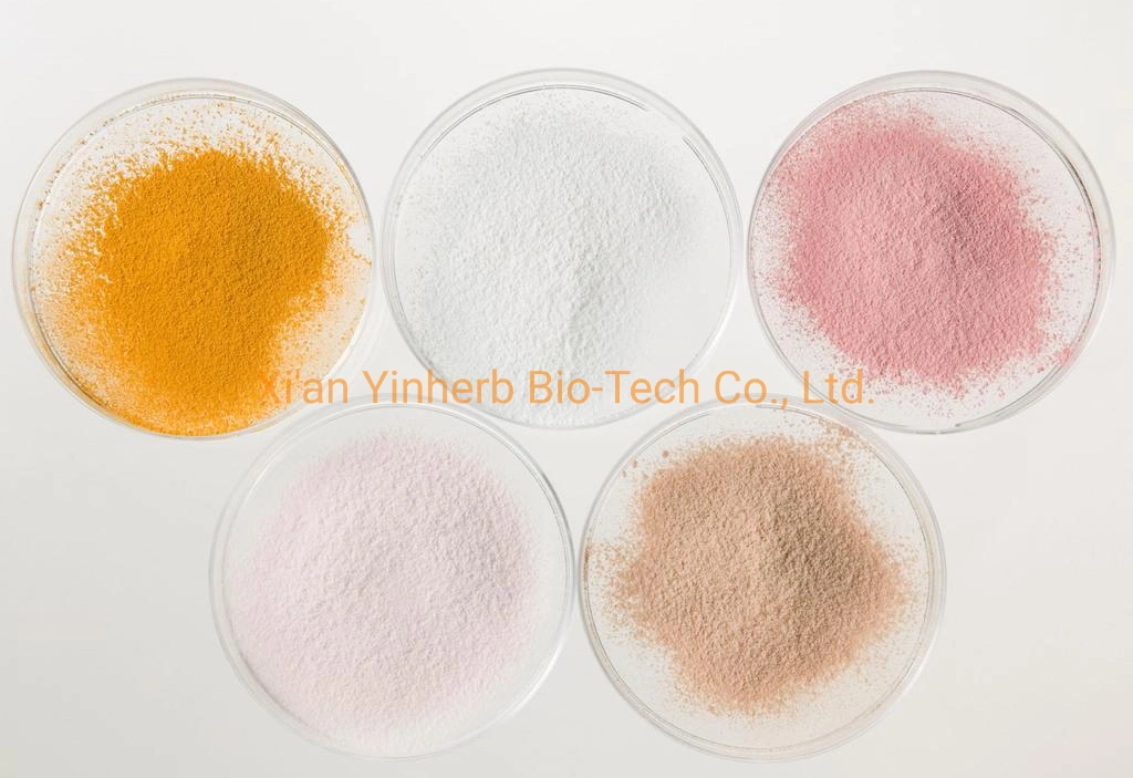 Yinherb Nutritional Supplements Vitamin B9 Folic Acid Bulk Raw Powder