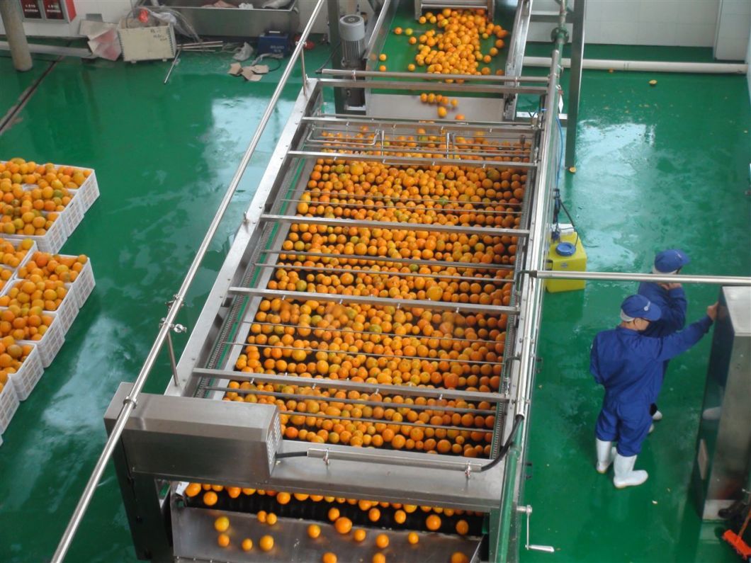Fruit and Vegetable Sorting Grading Machine for Apple/Potato/Onion/Orange/Pomegranate for Sale