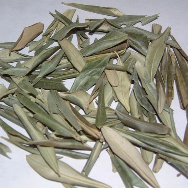 Supply Olive Leaf Extract Hydroxytyrosol 10% for Functional Food