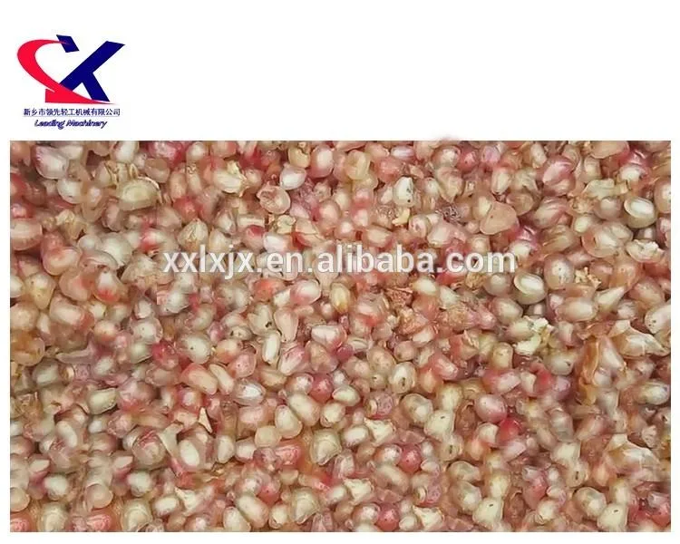 Pomegranate Peel Seed Separator Pomegranate Peeler and Juicer Pomegranate Juice Processing Line Equipment