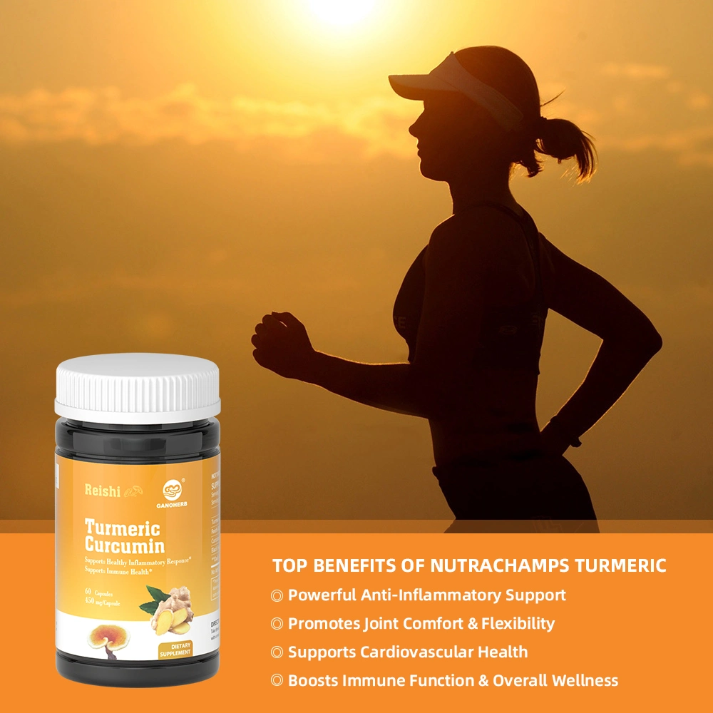Hot Sale Dietary Supplement Turmeric Curcumin Capsules Premium Pain Relief & Joint Support China