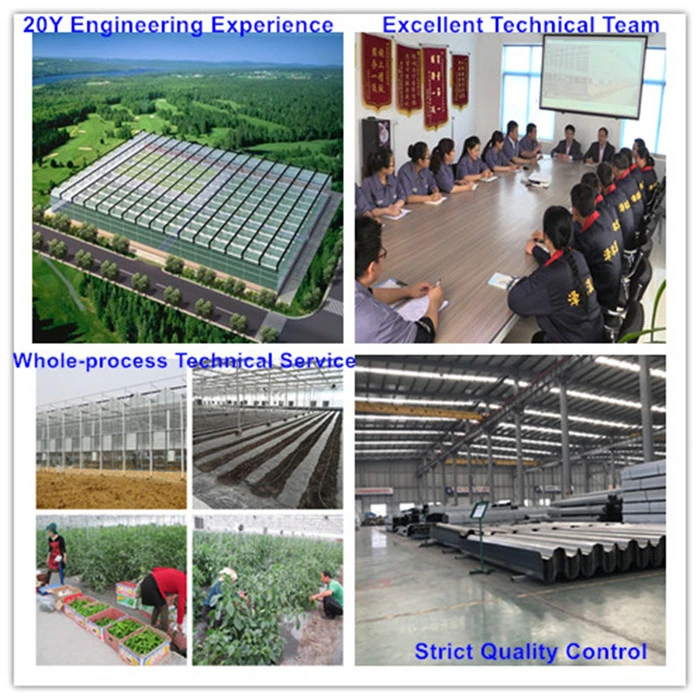 Intelligent Glass Greenhouse with Ventilation/Irrigation/Cooling/Heating/Control Systems