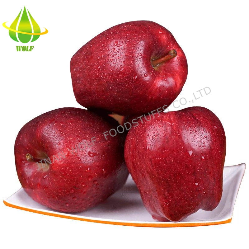 Red Fresh Huaniu Apple/FUJI Apple/Qinguan Apple/Gala Apple/Green Apple/Red Star Apple